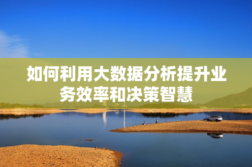 如何利用大數(shù)據(jù)分析提升業(yè)務(wù)效率和決策智慧