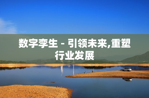 數(shù)字孿生 - 引領(lǐng)未來,重塑行業(yè)發(fā)展