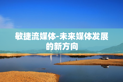敏捷流媒體-未來媒體發展的新方向